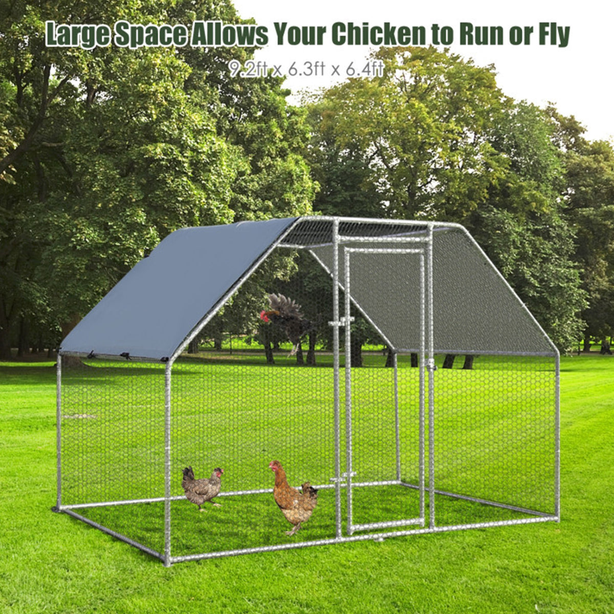 Large Walk In Chicken Run Cage