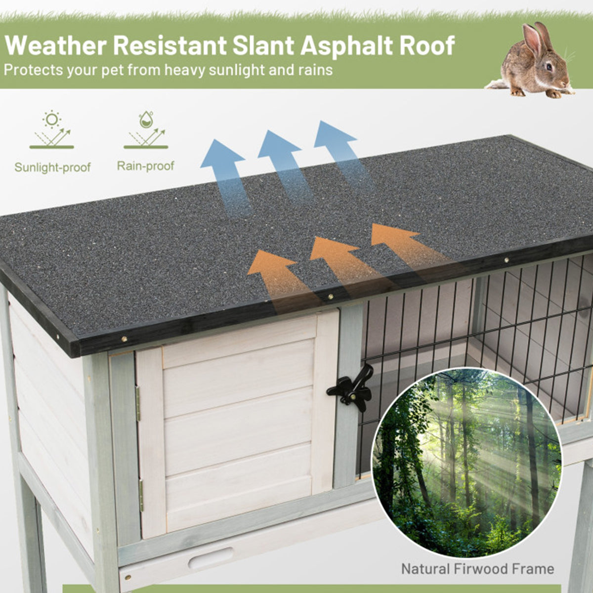 Elevated Rabbit Hutch with Hinged Roof