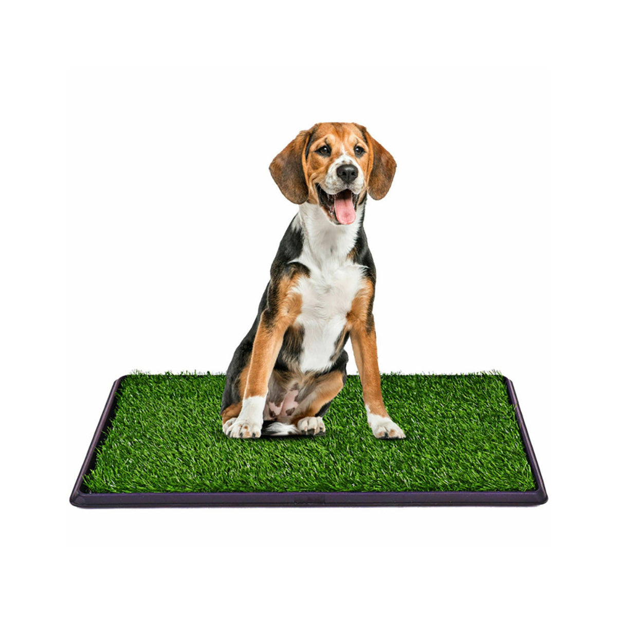 Artificial Grass Puppy Potty Trainer