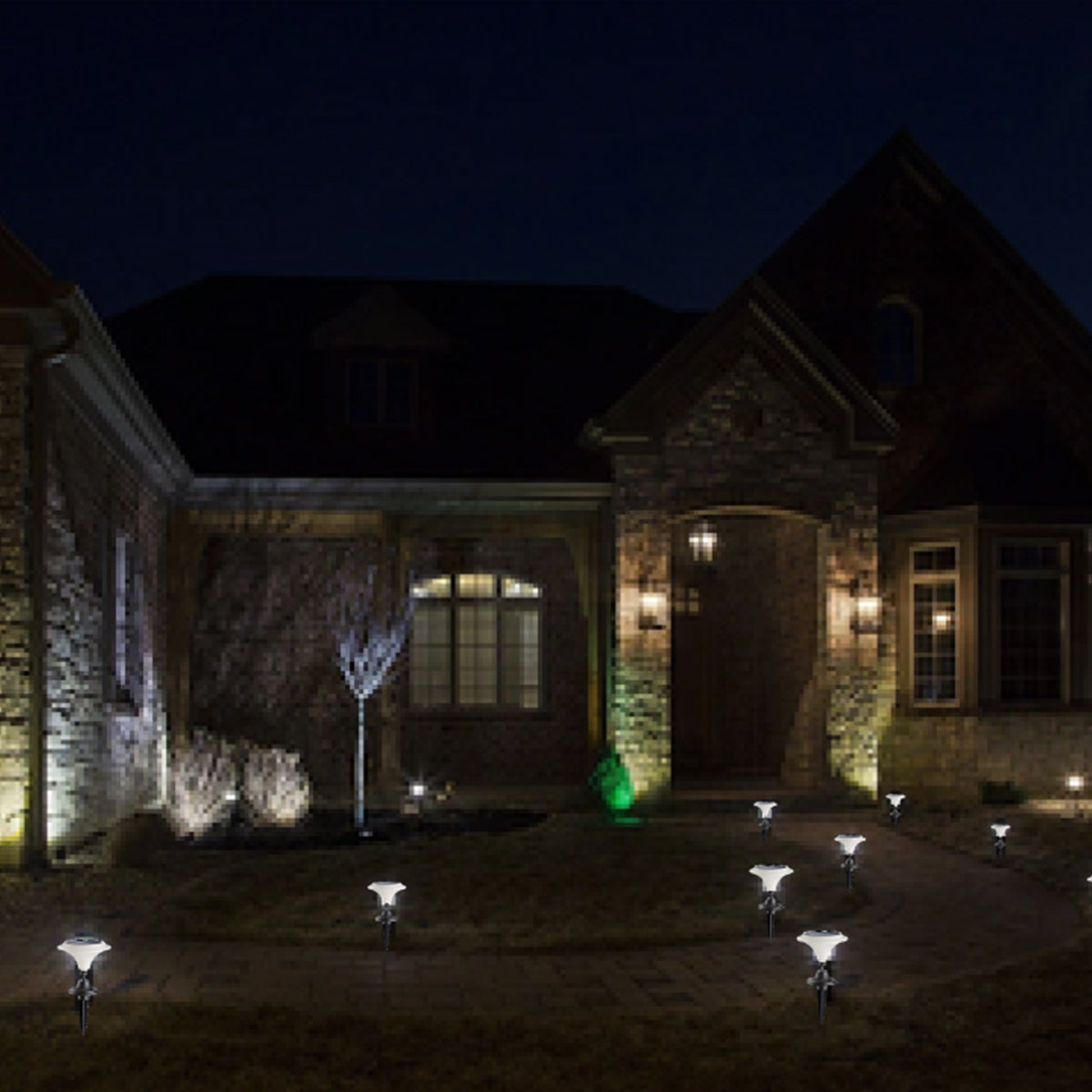 Solar-Powered LED Martini Lamp Lights (Set of 2)