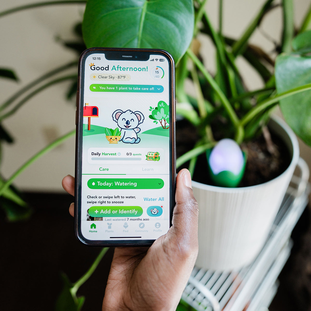 Flora Pod™ Smart Plant Monitor