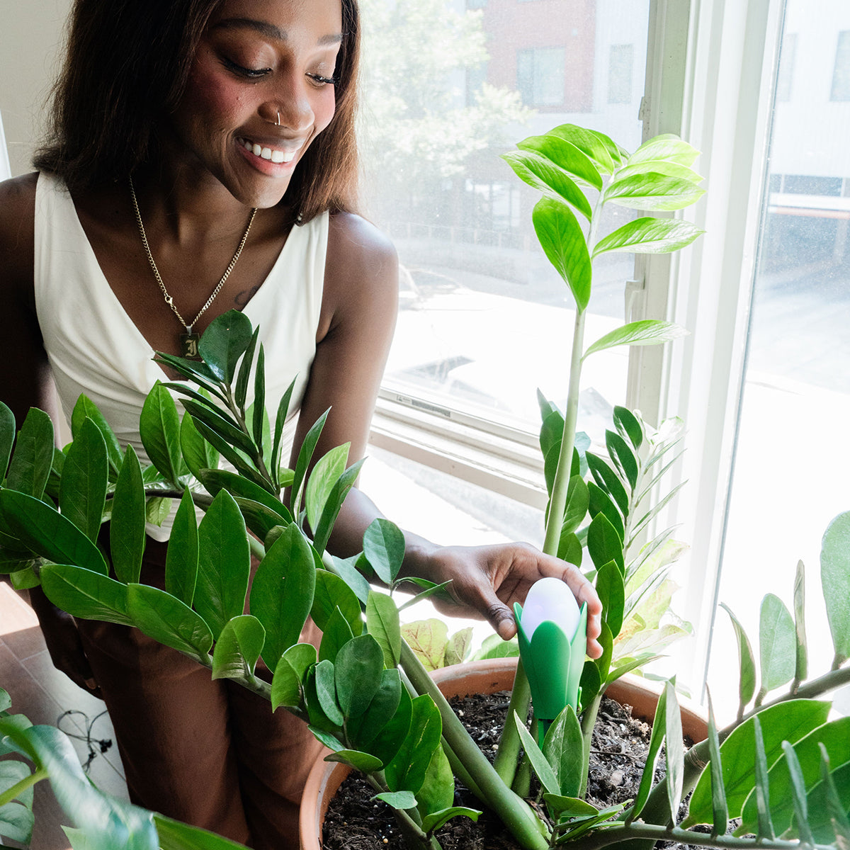 Flora Pod™ Smart Plant Monitor