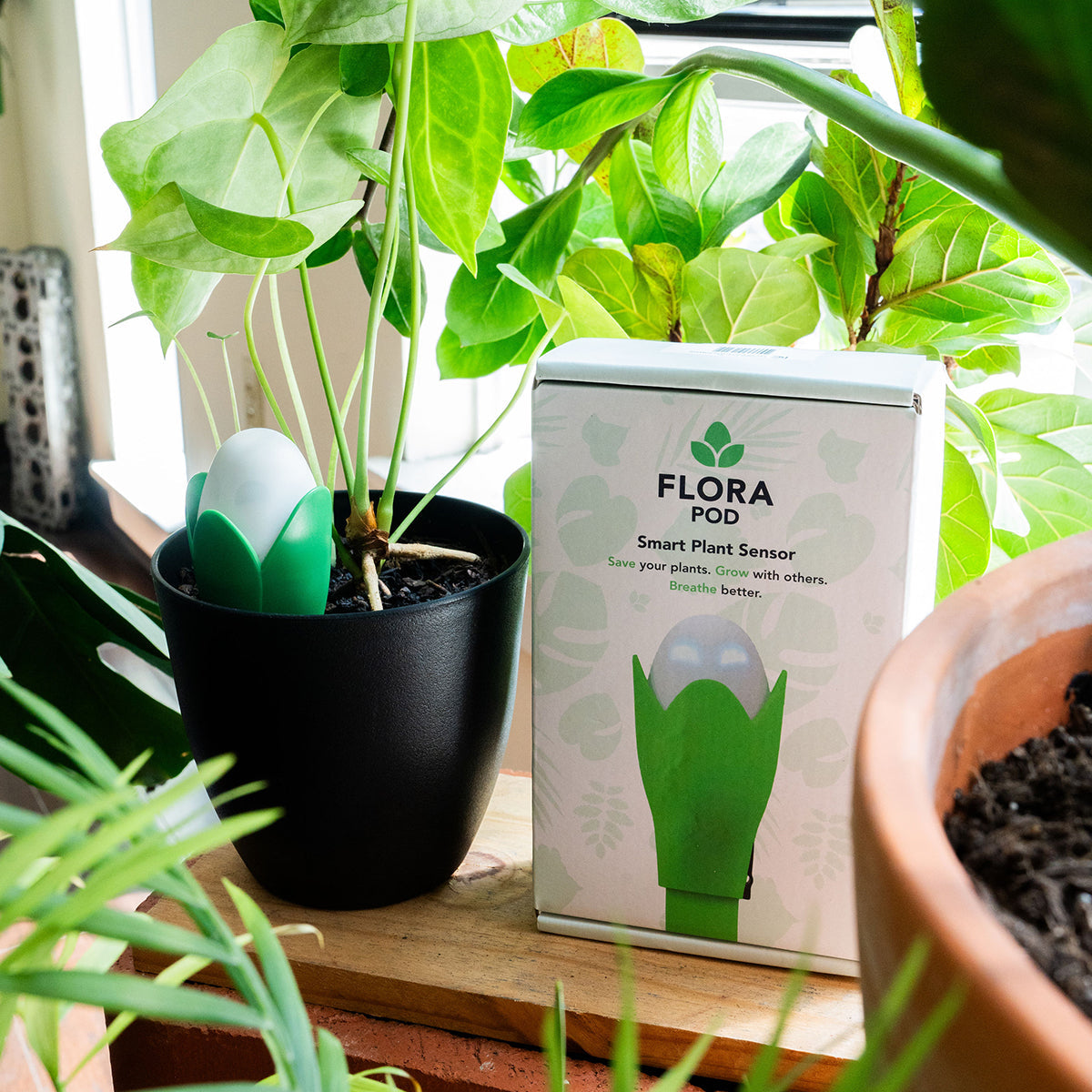 Flora Pod™ Smart Plant Monitor