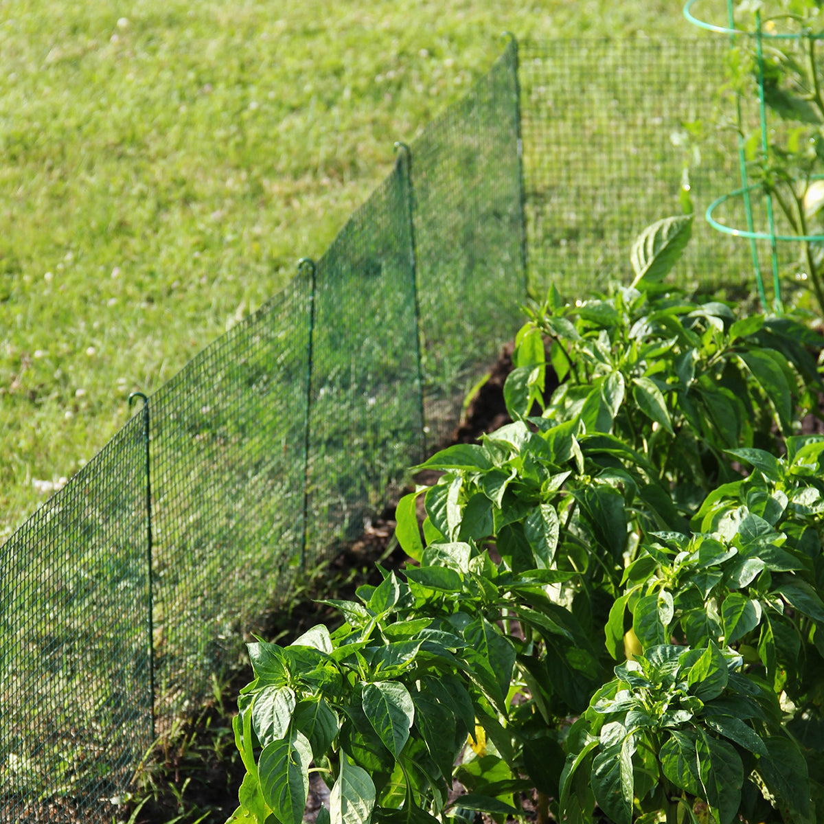 Expandable Modular Garden Fencing System