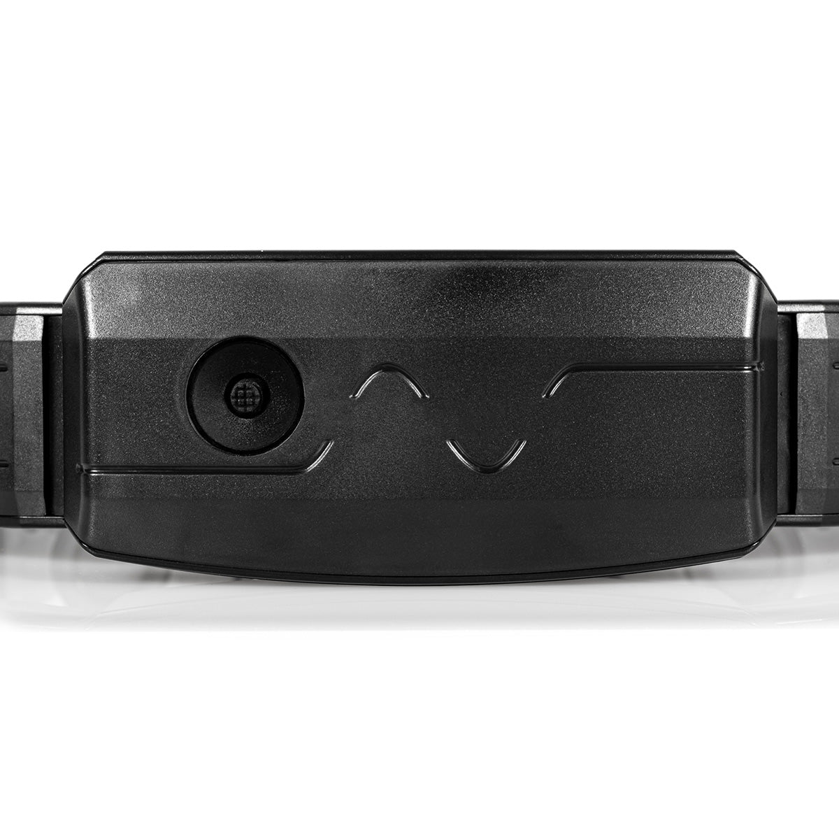 Immersive Entertainment Belt