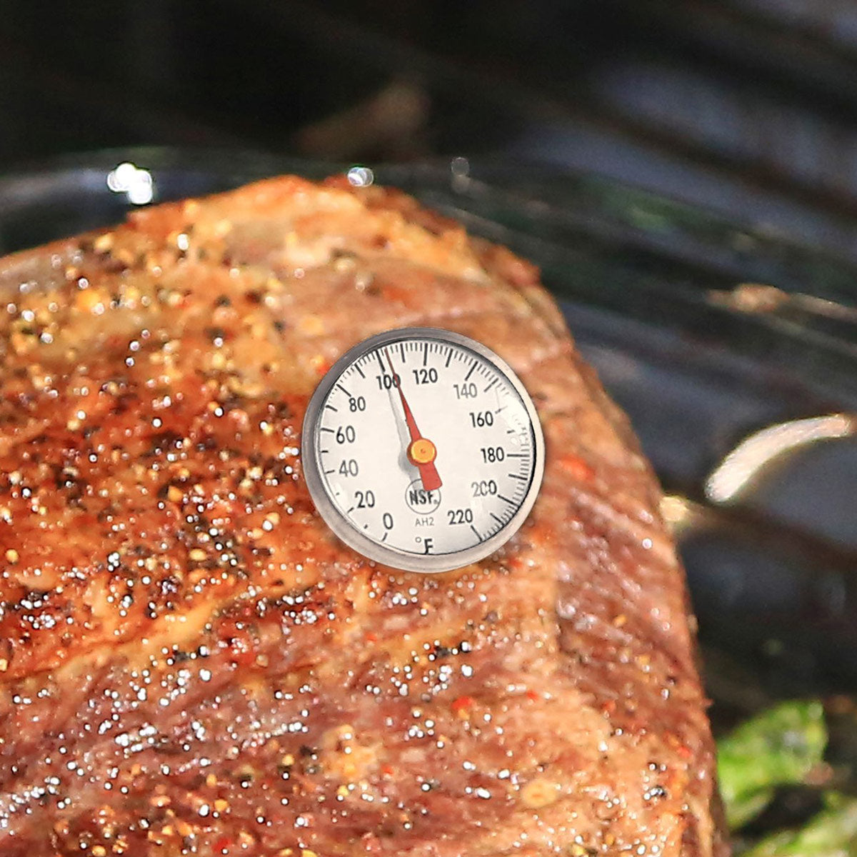 Digital Thermometer and Deep Fry Thermometer Set