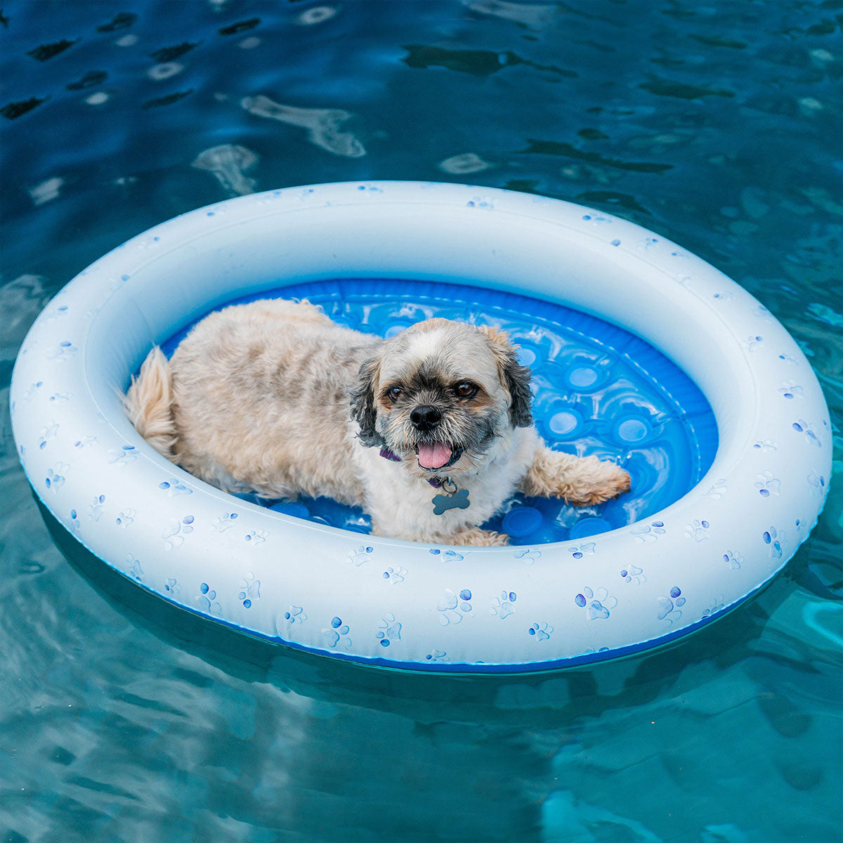 Inflatable Pet Float