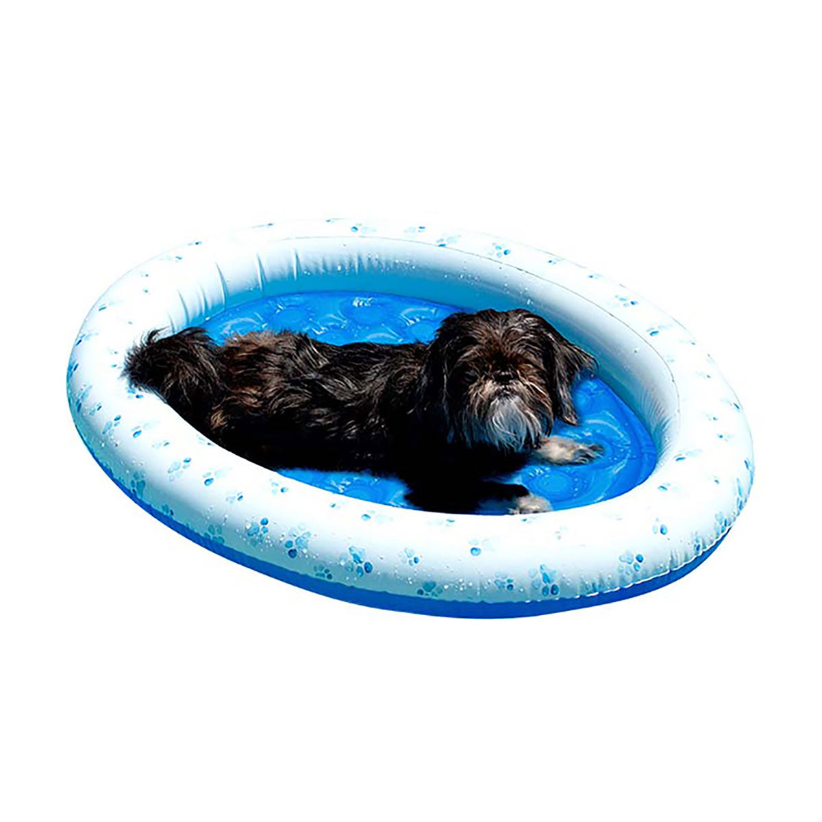 Inflatable Pet Float