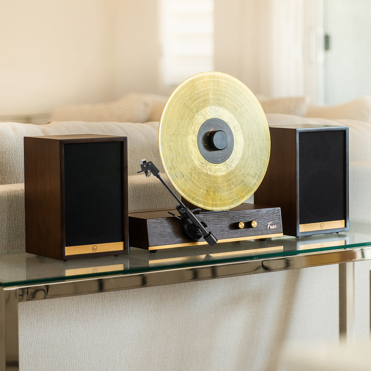 Deluxe Vertical Vinyl Player