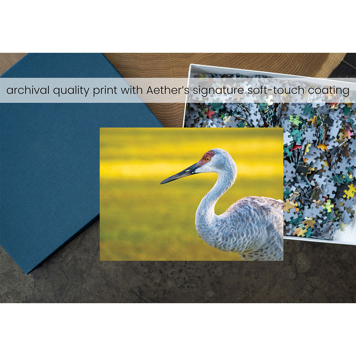 Sandhill Crane Nature Puzzle