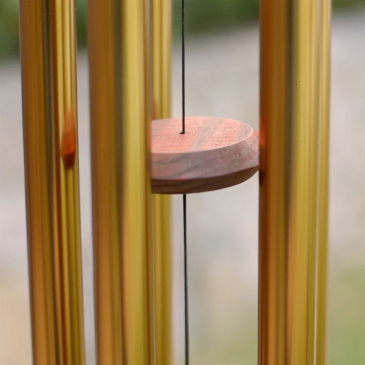 Chimes of Venus