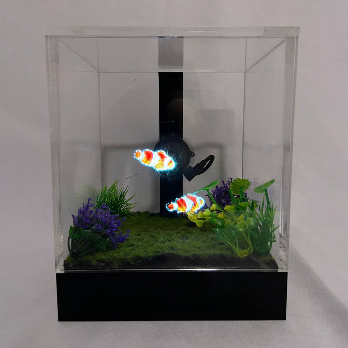 3D Holographic Aquarium