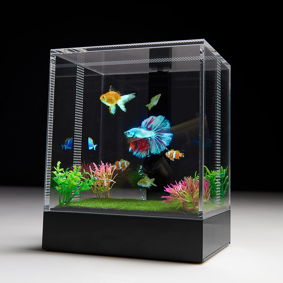 3D Holographic Aquarium