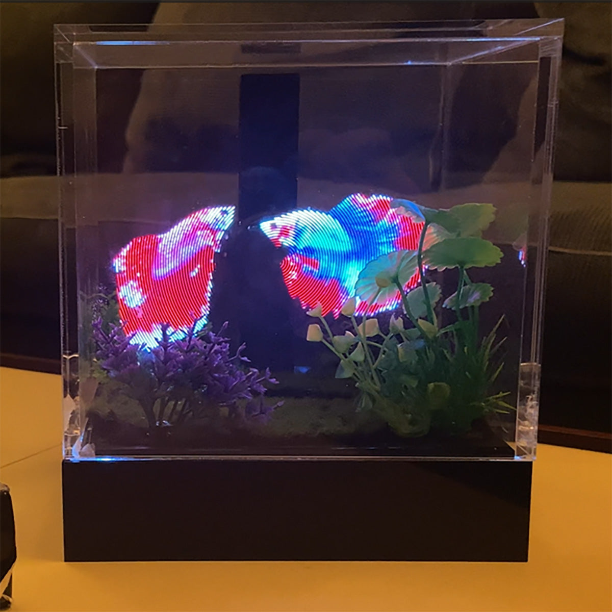 3D Holographic Aquarium