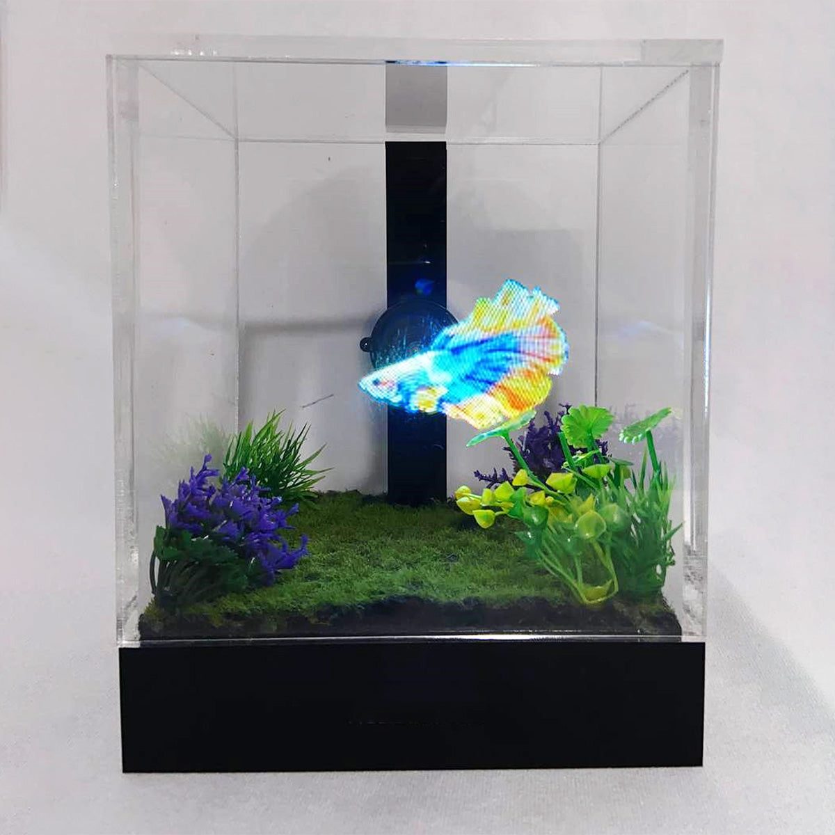 3D Holographic Aquarium