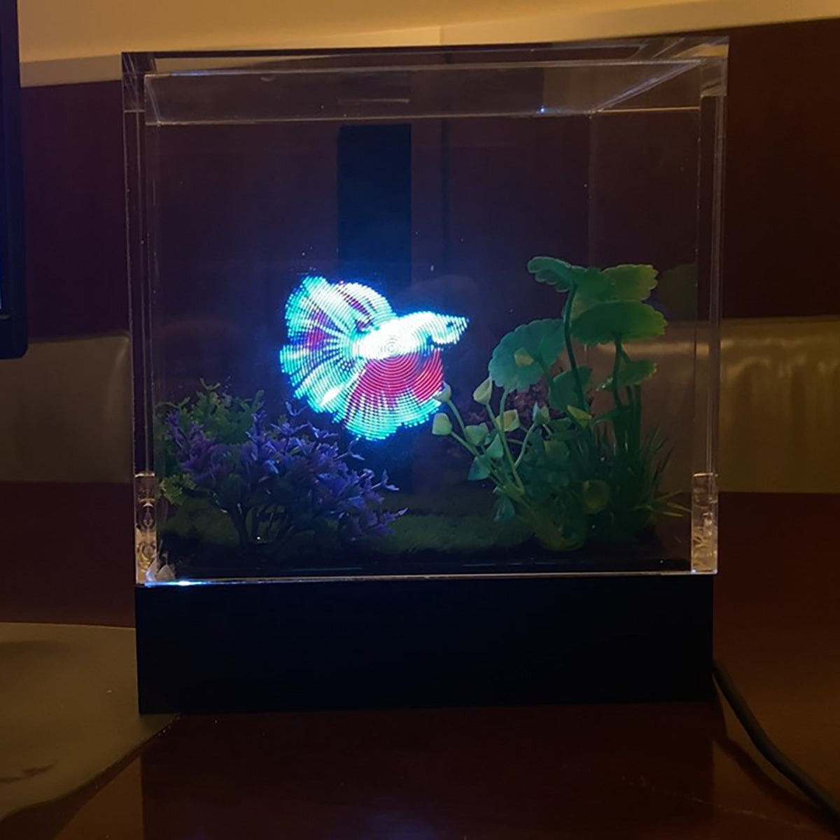 3D Holographic Aquarium