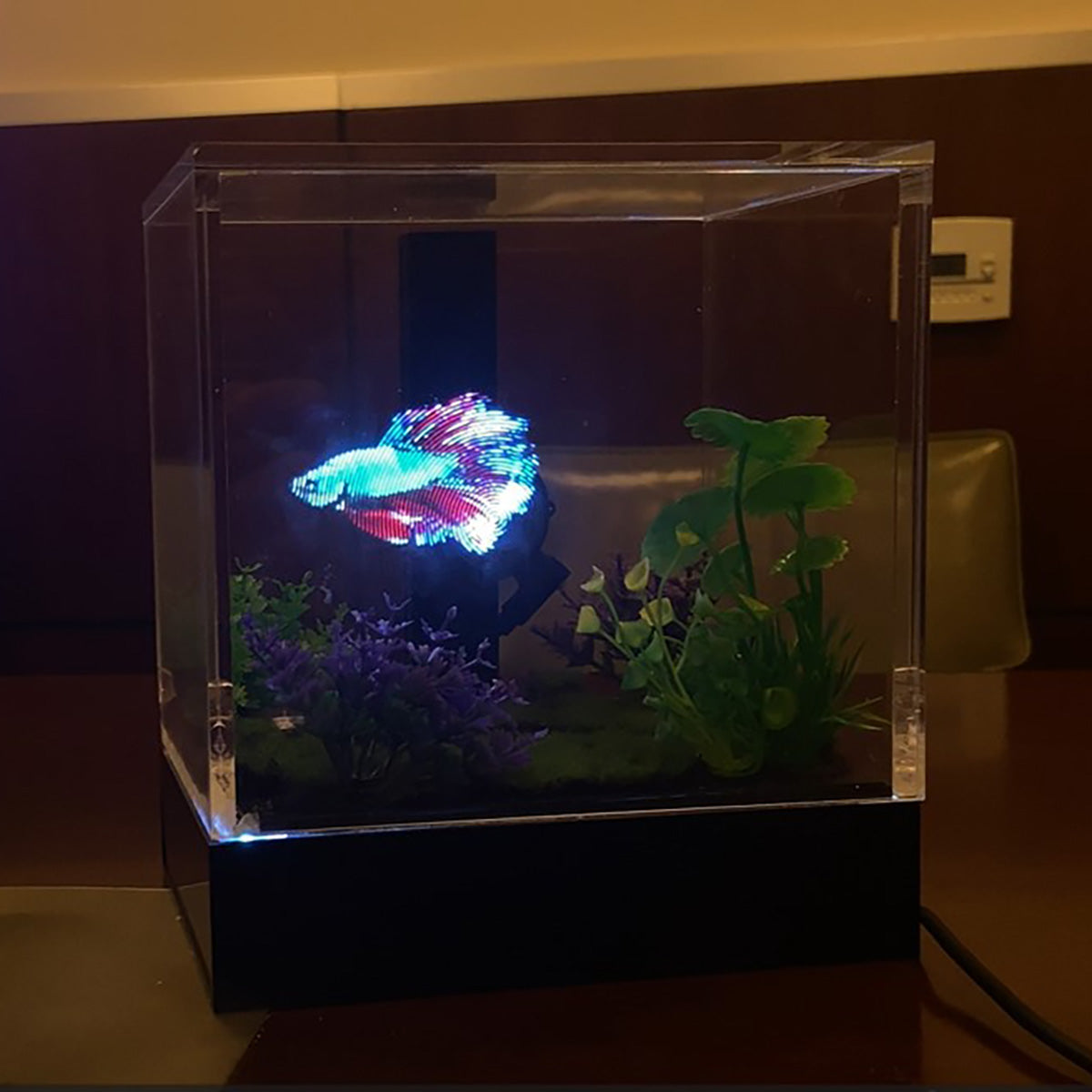 3D Holographic Aquarium