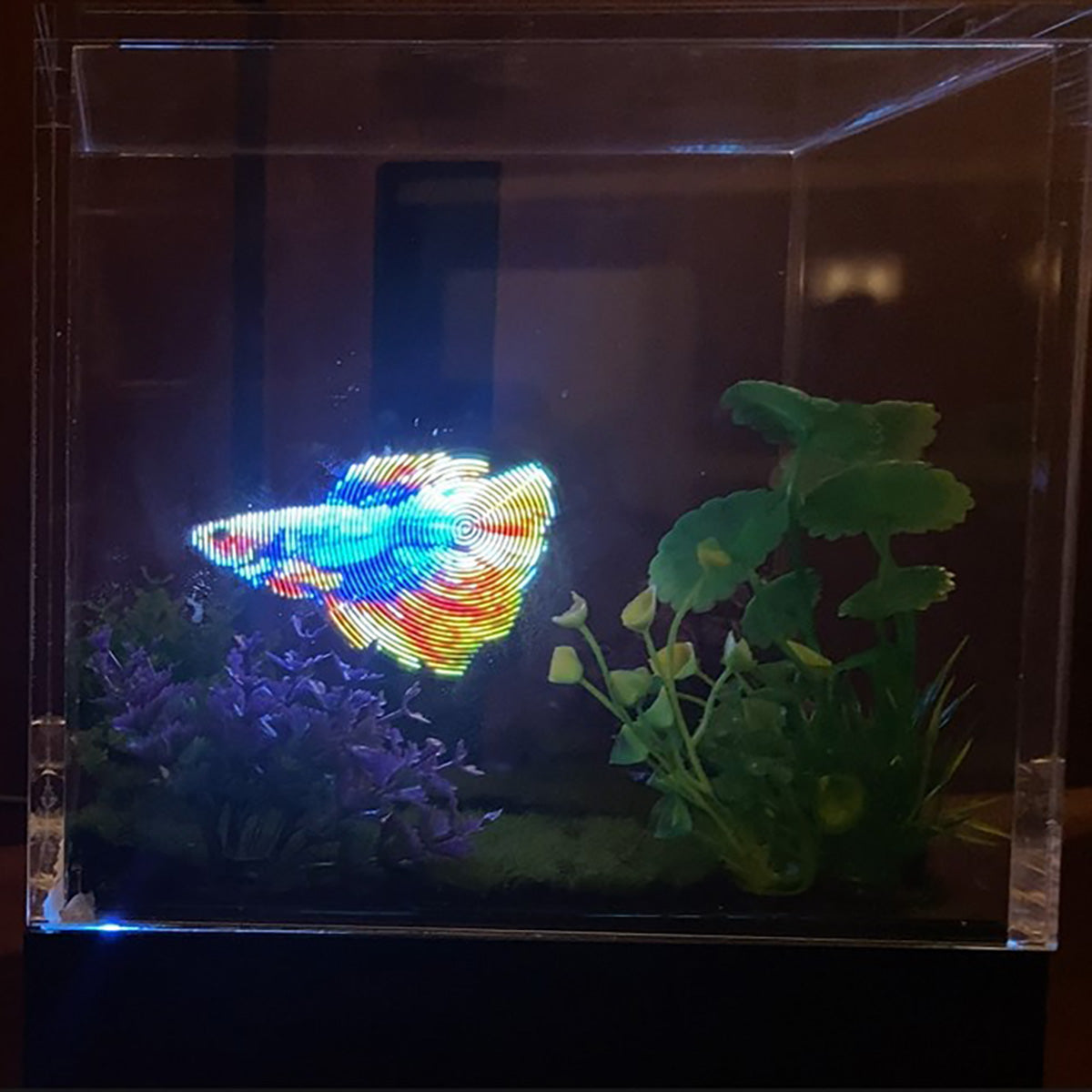 3D Holographic Aquarium