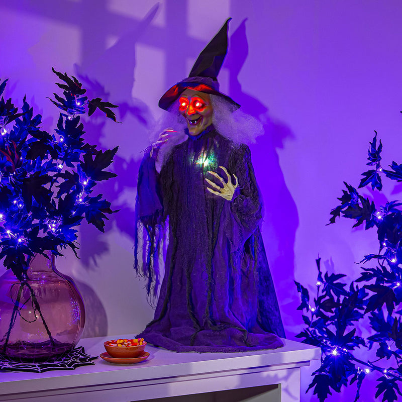 40'' Decorative Witch with Movement and Sound