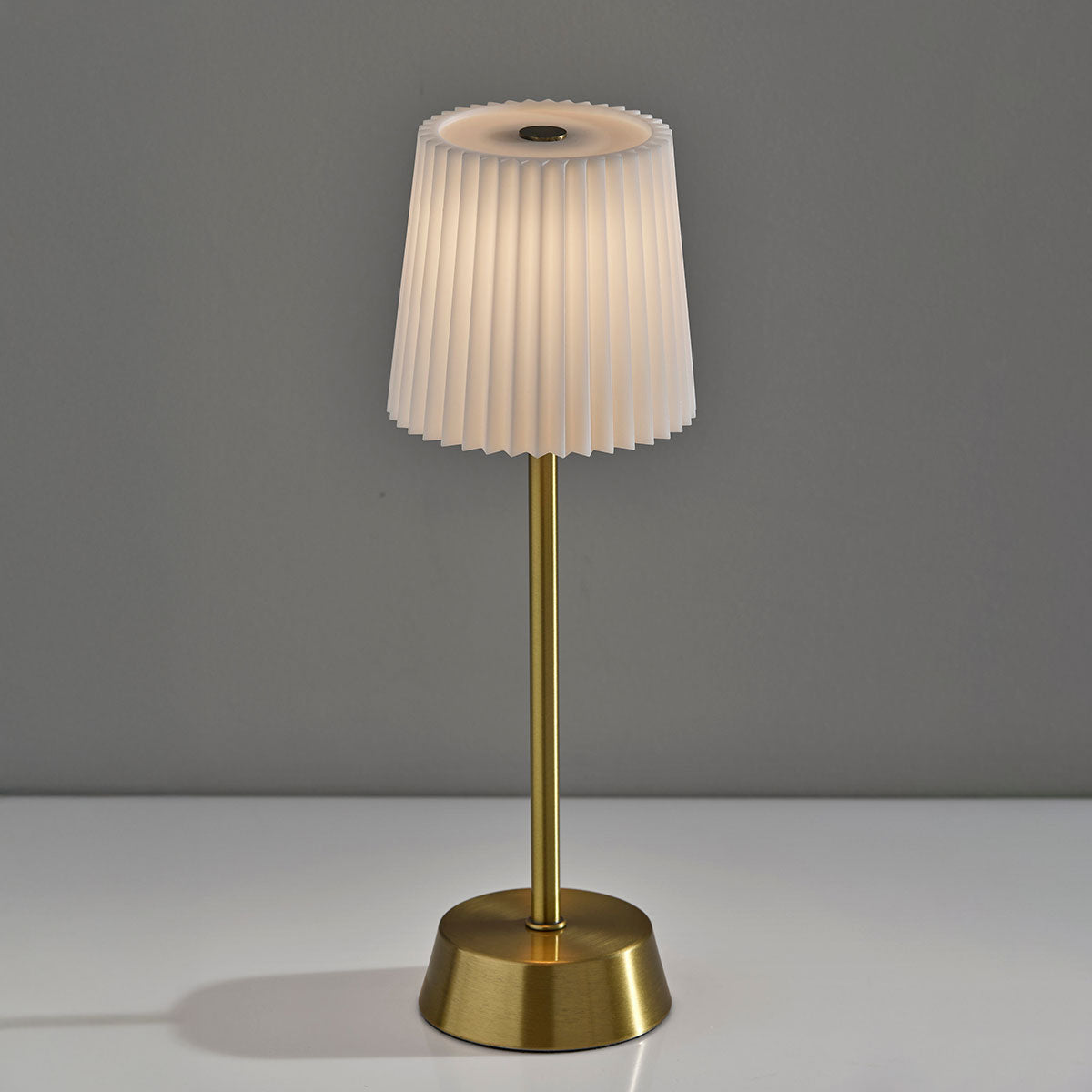 Indoor/Outdoor LED Table Lamp with Pleated Shade