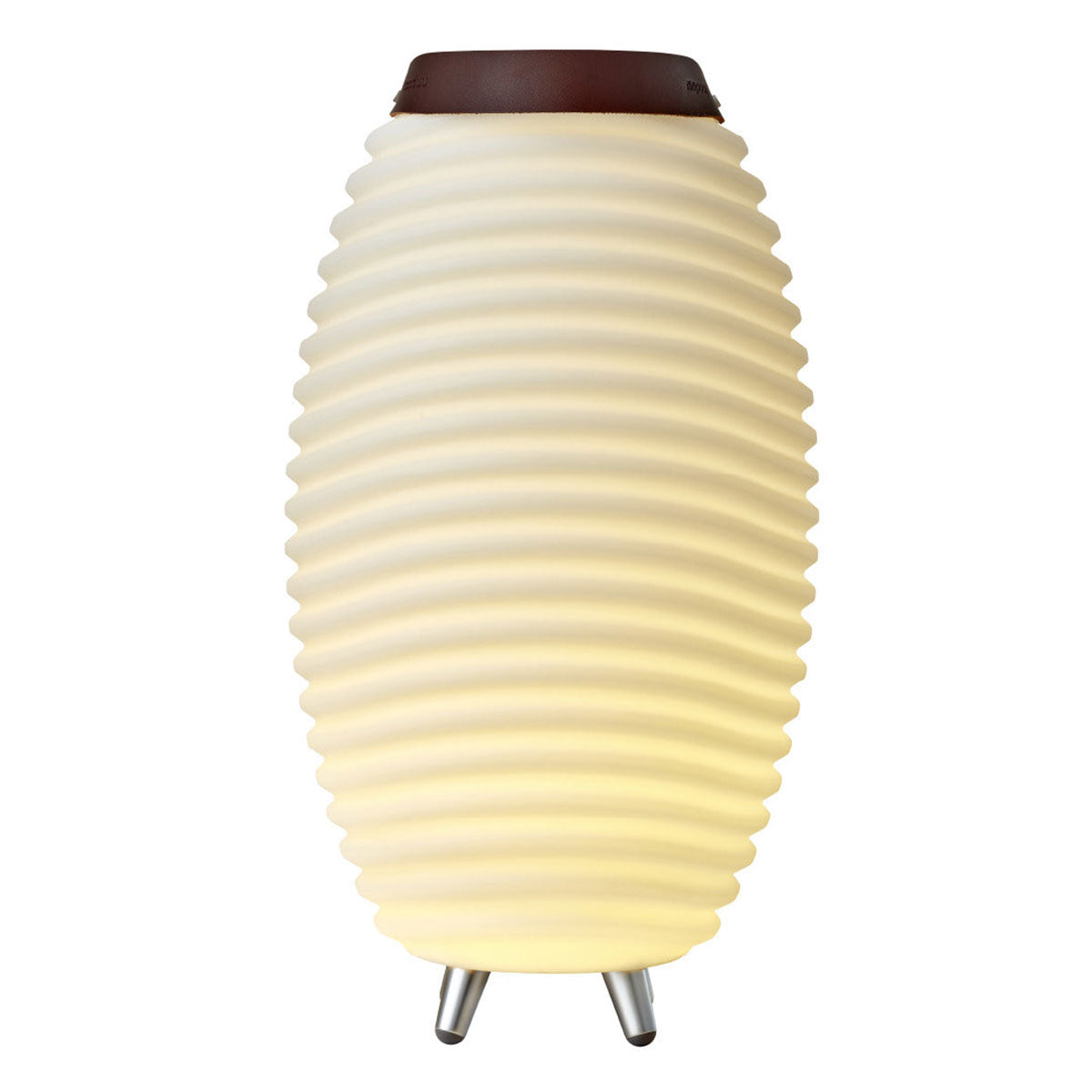 Multi-Function Indoor/Outdoor LED Party Light with Speaker & Cooler