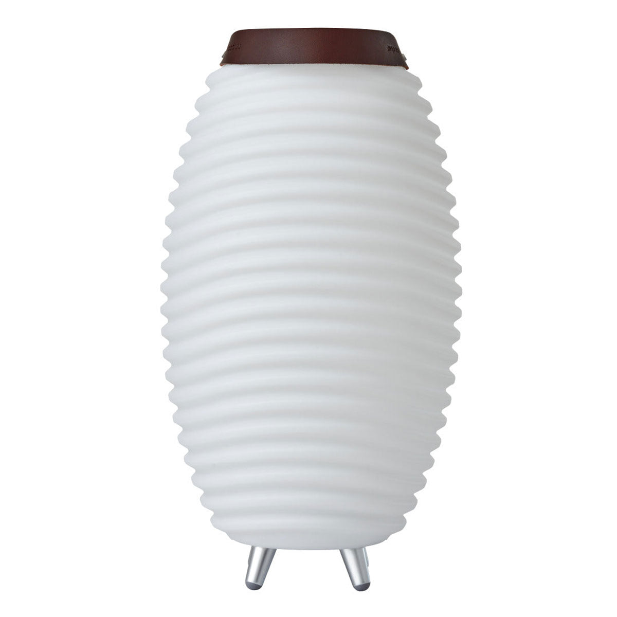 Multi-Function Indoor/Outdoor LED Party Light with Speaker & Cooler