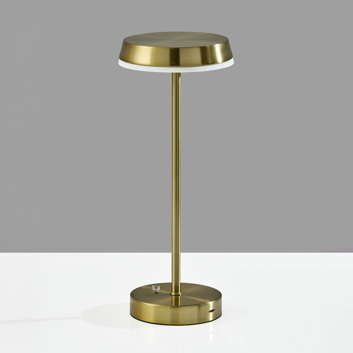 Metal Finish Indoor/Outdoor Cordless LED Table Lamp