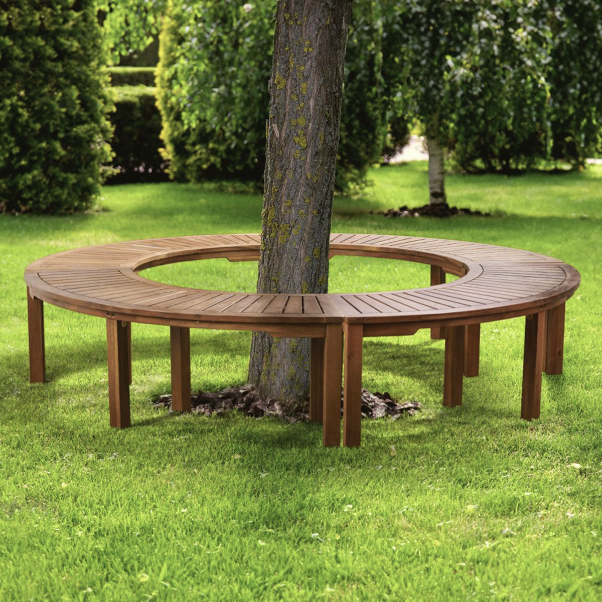 Acacia Wood Curved Bench