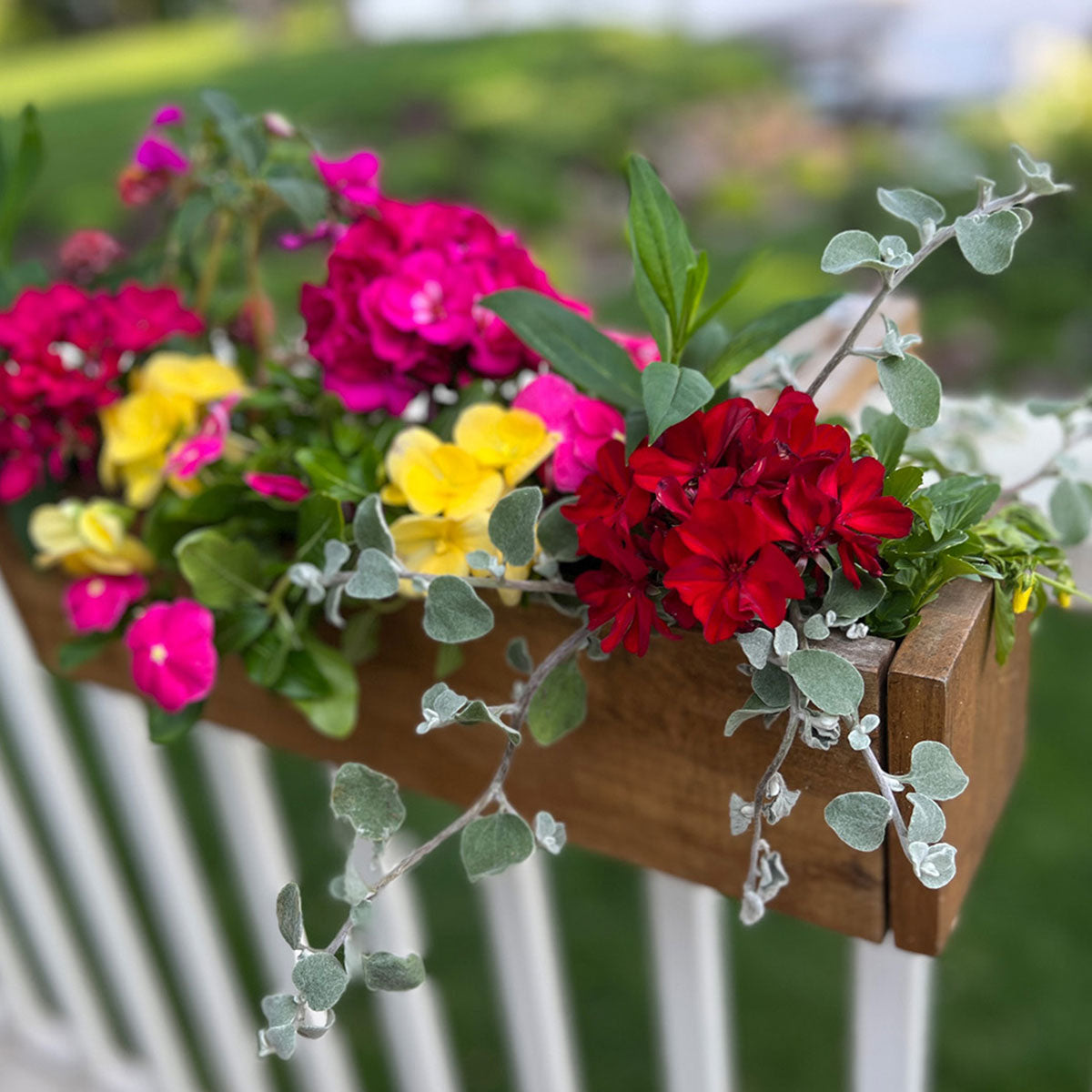 Acacia Wood Deck Rail Planter