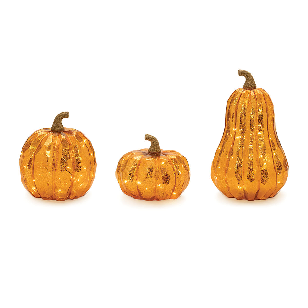 Illuminated Fall Gourd Set (Set of 3)