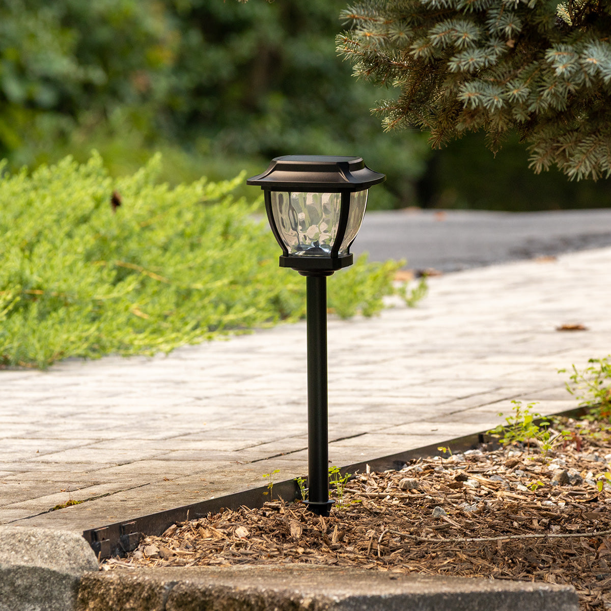 Wave Style Solar Powered Pathway Lights (Set of 2)