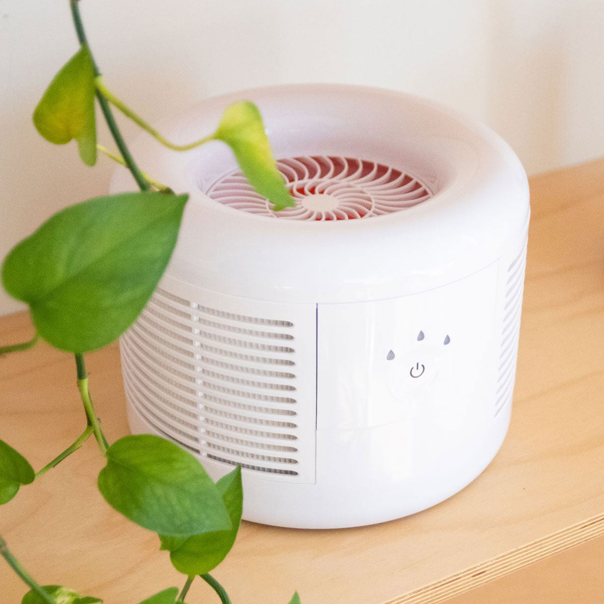 Compact Air Purifier