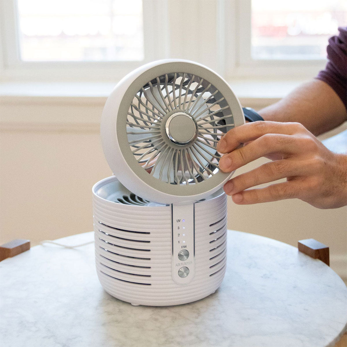 2 in 1 Desktop Air Purifier & Fan