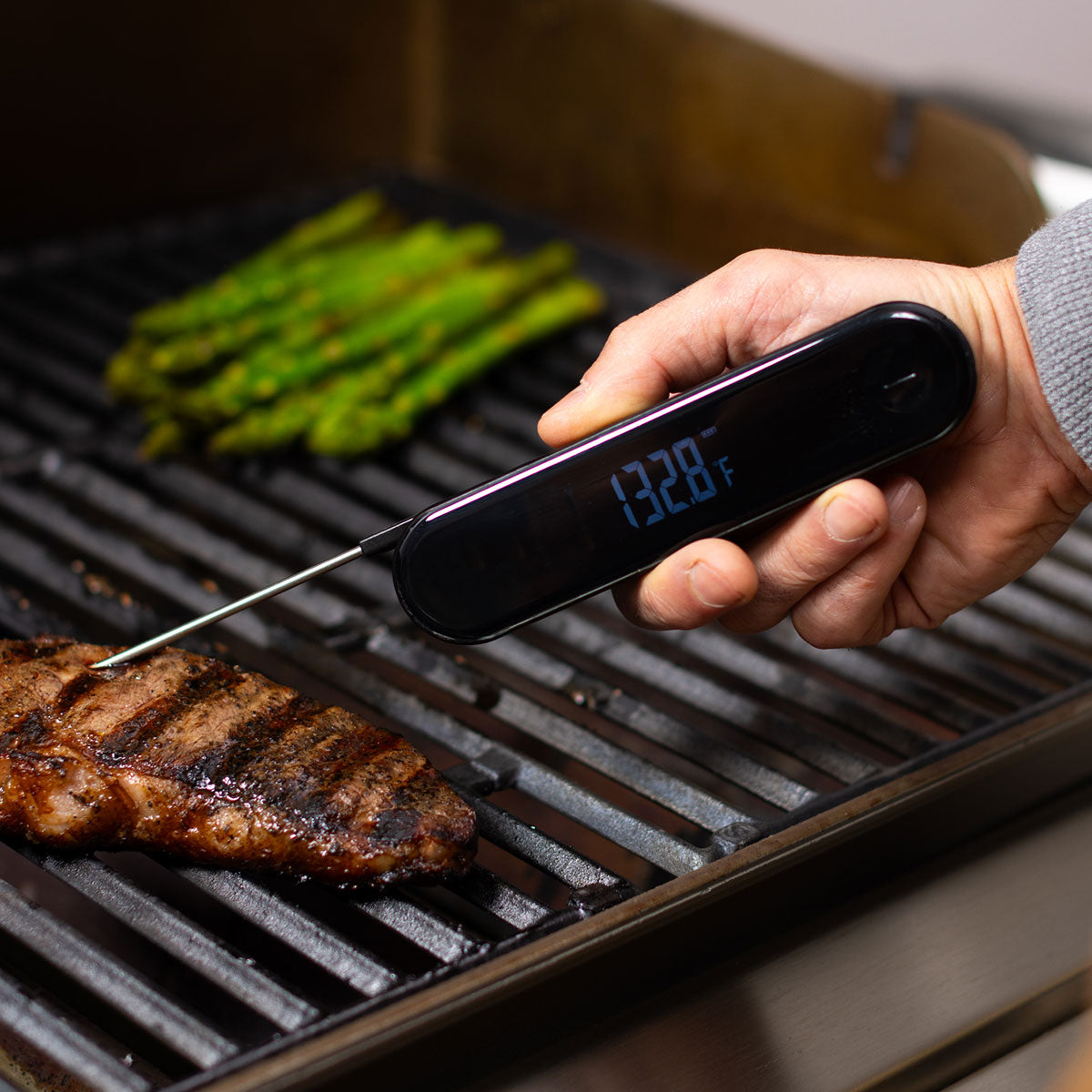 Escali Stelo Waterproof Folding Thermometer