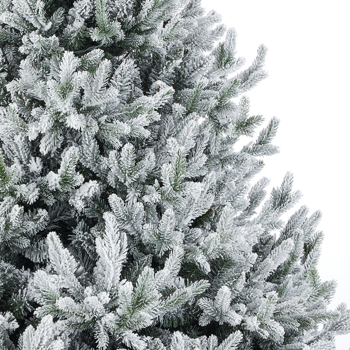 Flocked Frasier Fir Christmas Tree