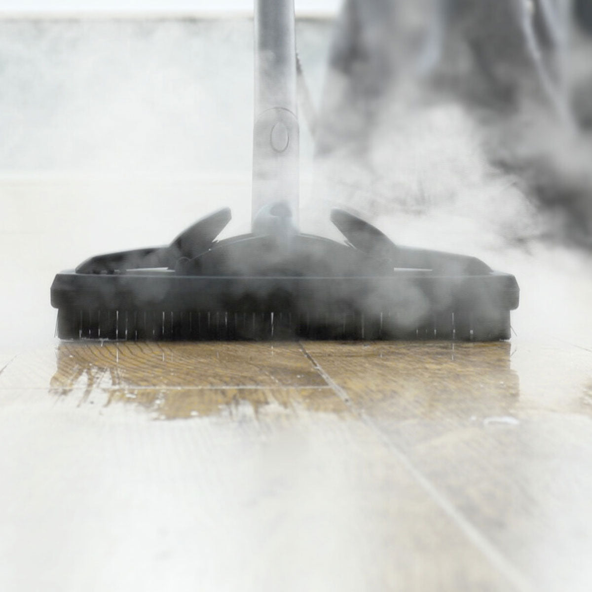 Multi Function Steam Cleaner