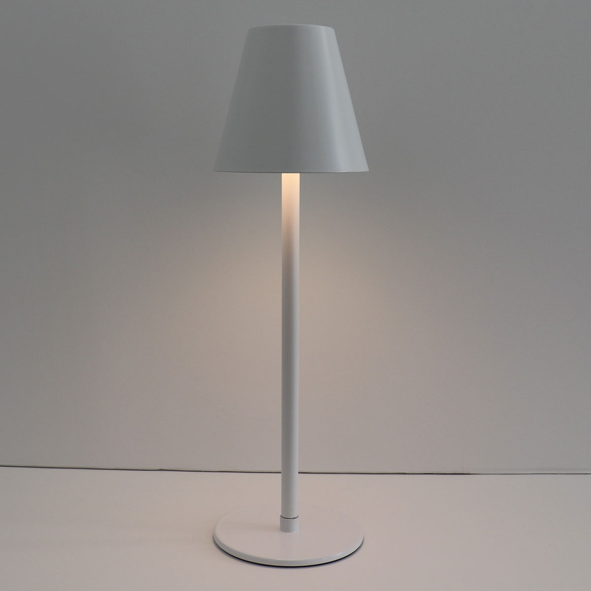 4-in-1 Indoor/Outdoor Bug Deterrent Lamp