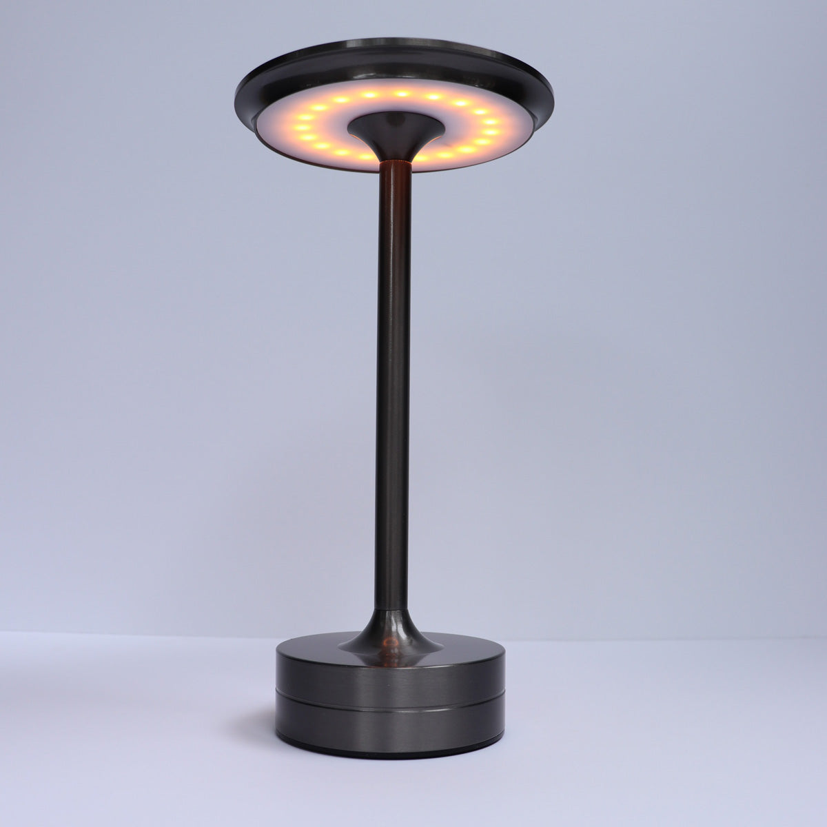 Indoor/Outdoor Bug Deterrent Lamp