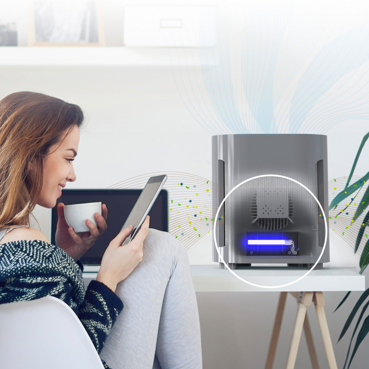 Compact HEPA UV-C Air Purifier
