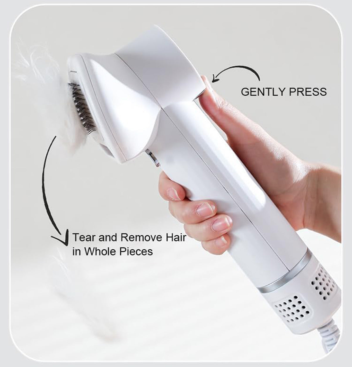 2-in-1 Pet Comb and Blow Dryer
