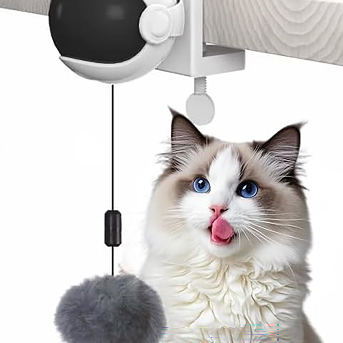 Self-Moving Interactive Cat Ball