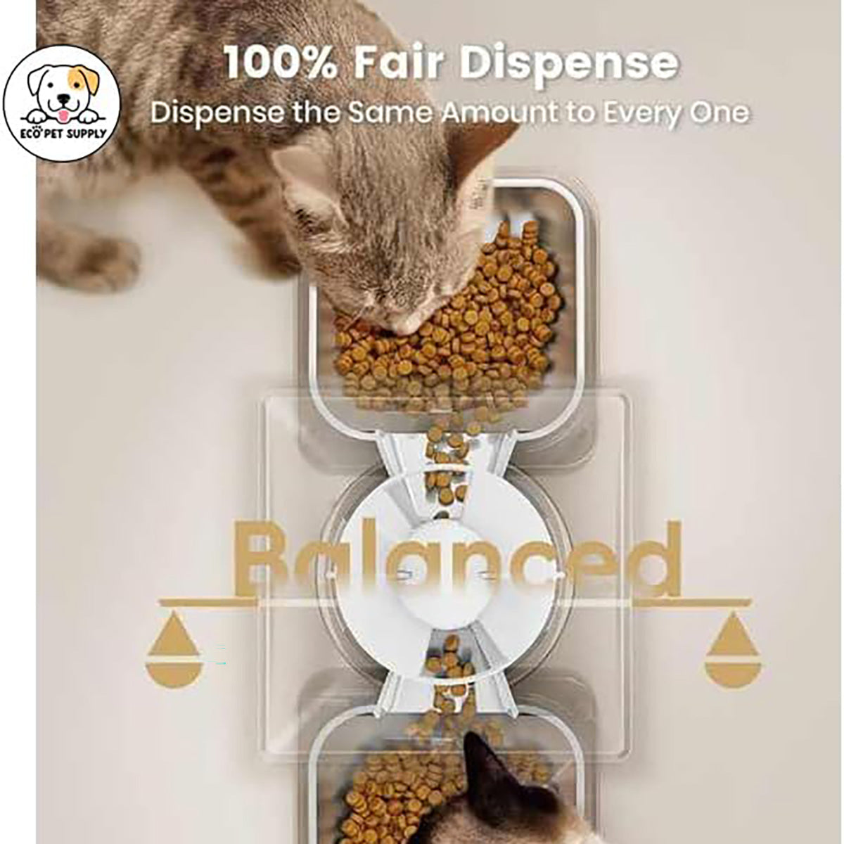Dual Smart Cat Feeder