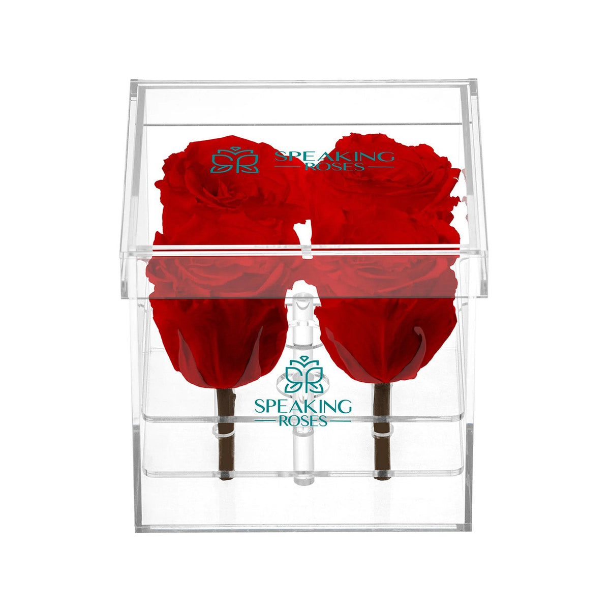 Preserved Roses (4 Stems)