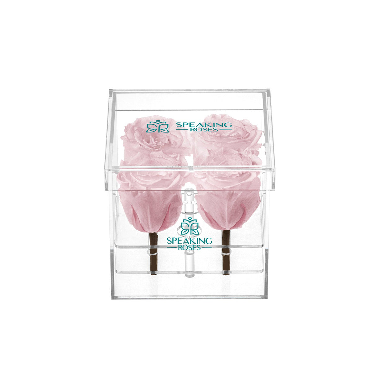 Preserved Roses (4 Stems)