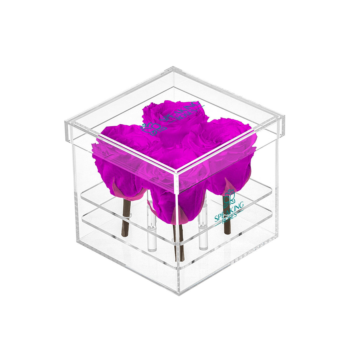 Preserved Roses (4 Stems)
