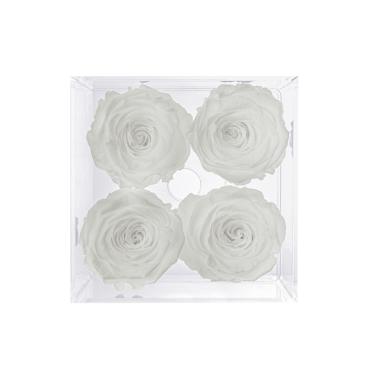 Preserved Roses (4 Stems)