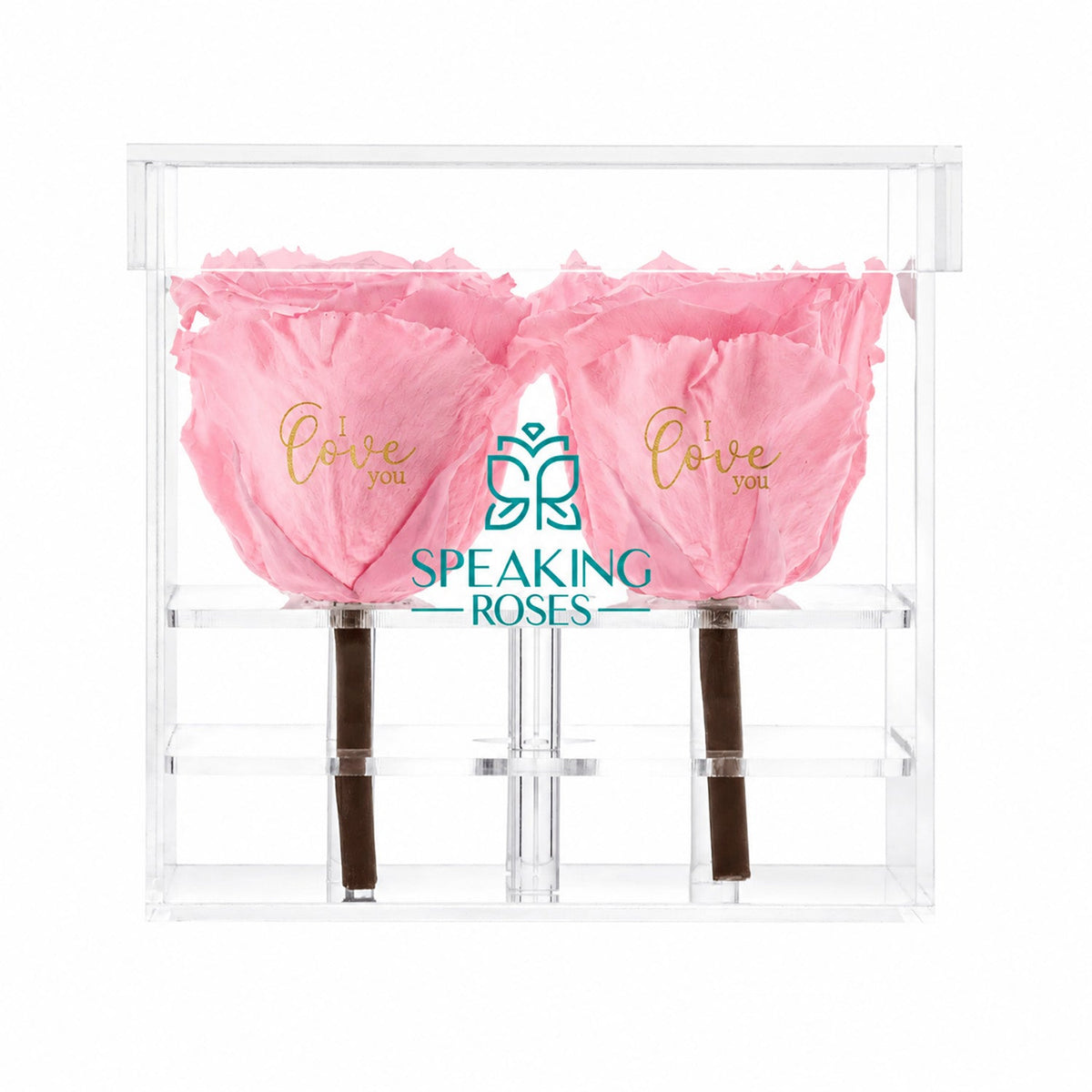 Preserved Roses (4 Stems)