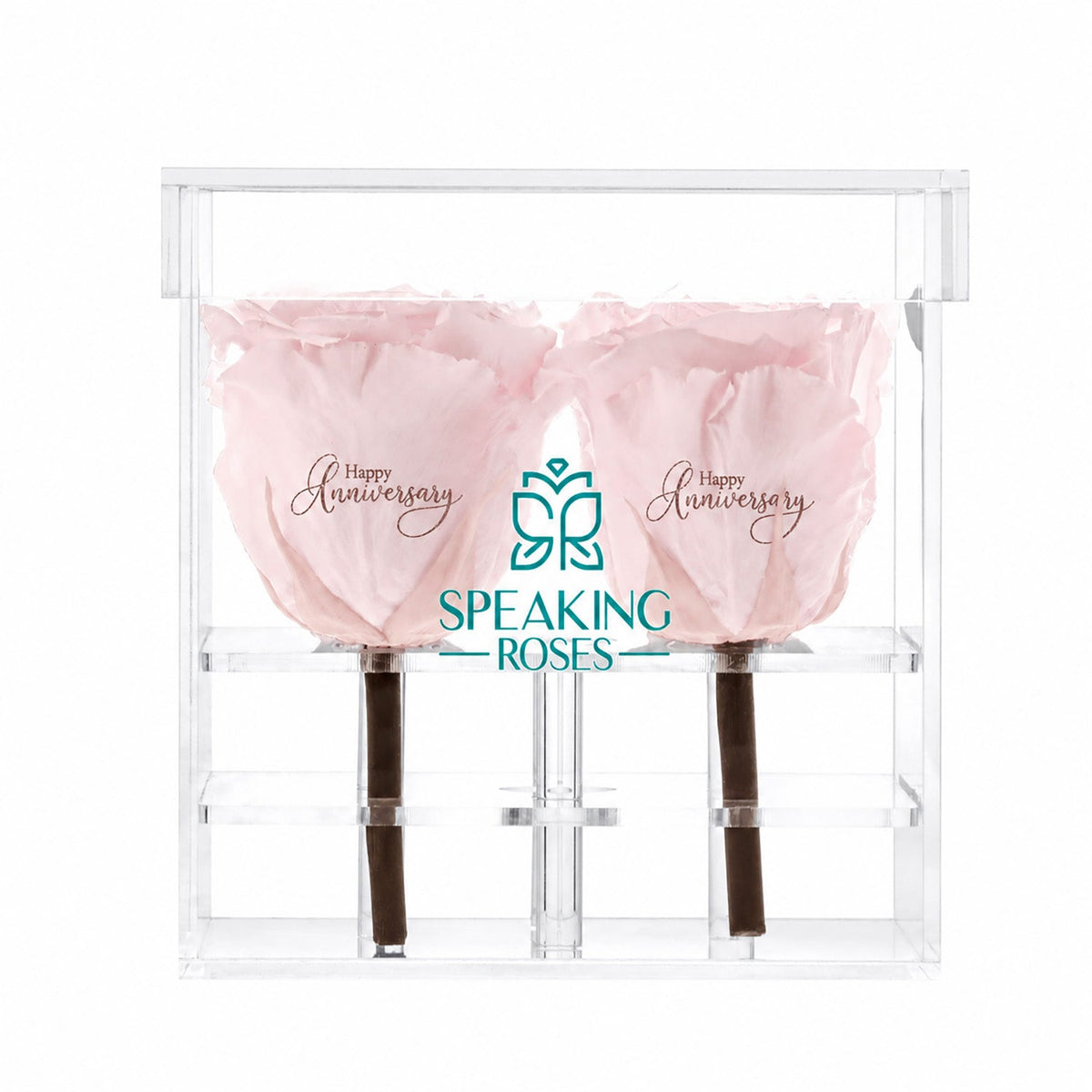 Preserved Roses (4 Stems)