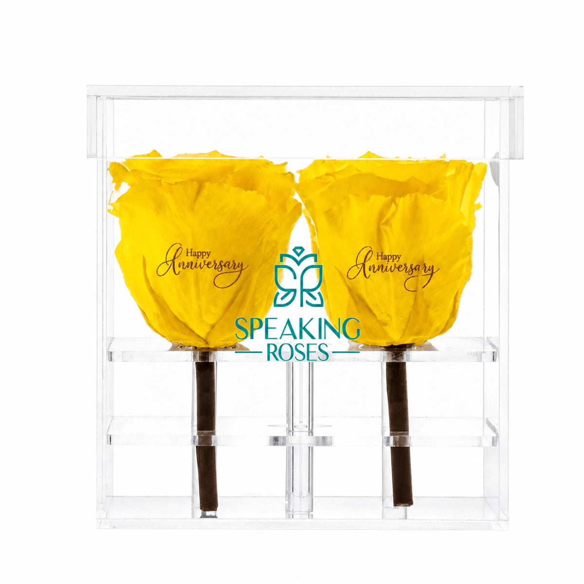 Preserved Roses (4 Stems)