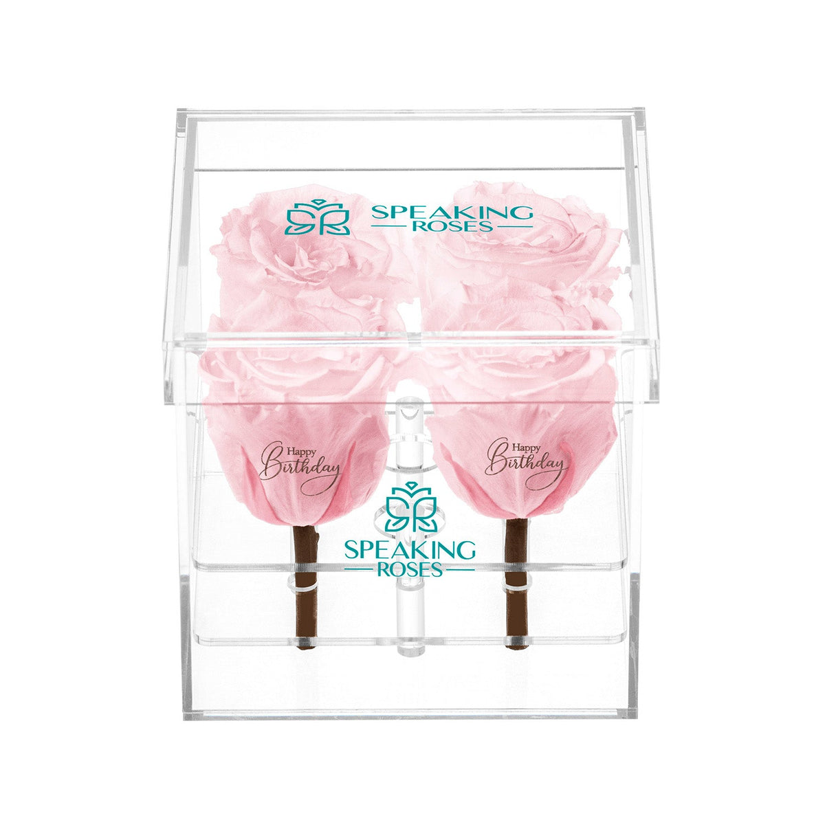 Preserved Roses (4 Stems)